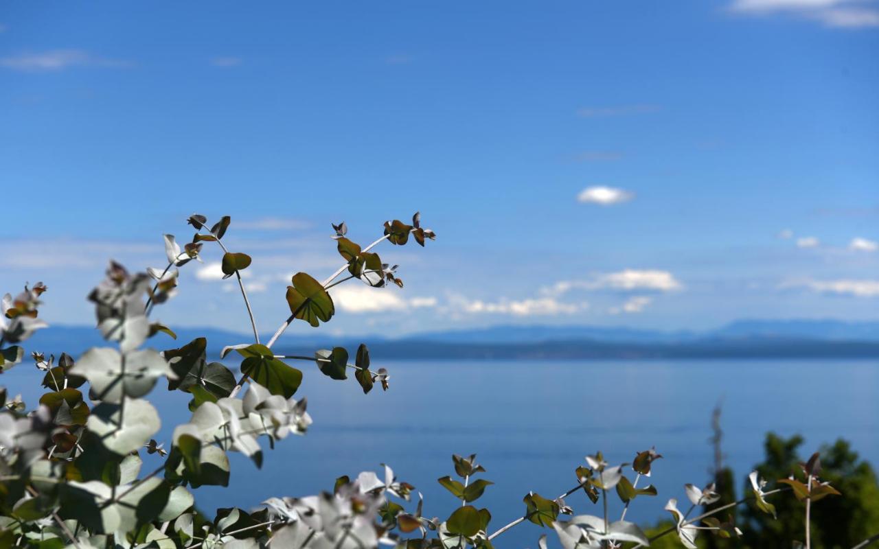 Apartments Near The Beach, With Terraces And Seaview At House B. Moscenicka Draga Luaran gambar